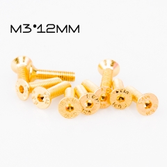 10pcsM3x12mmCS